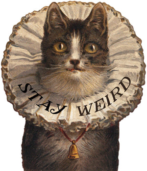 Stay Weird Cat Sticker