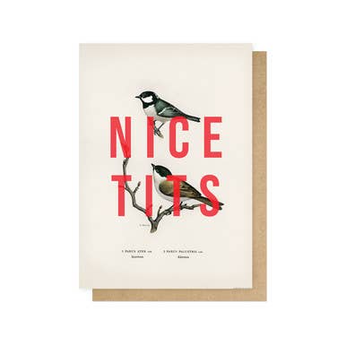 Nice Tits Greetings Card
