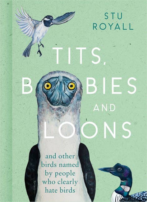 Tits, Boobies, and Loons