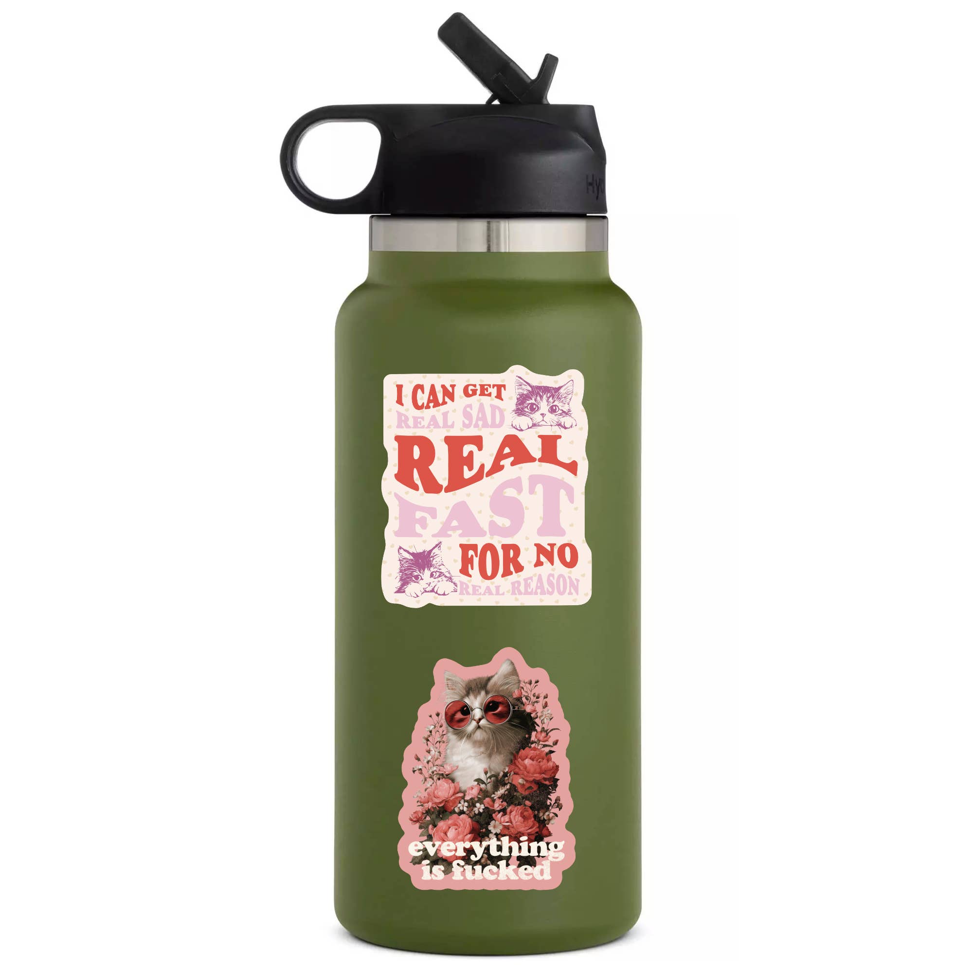 Real Sad Real Fast Kitty Cats Vinyl Sticker