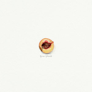 Peach Miniature Watercolor Print