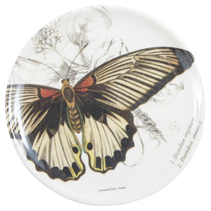 Specimen Coaster