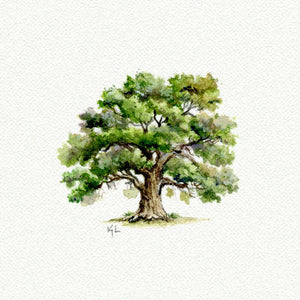 Oak Tree Miniature Watercolor Print