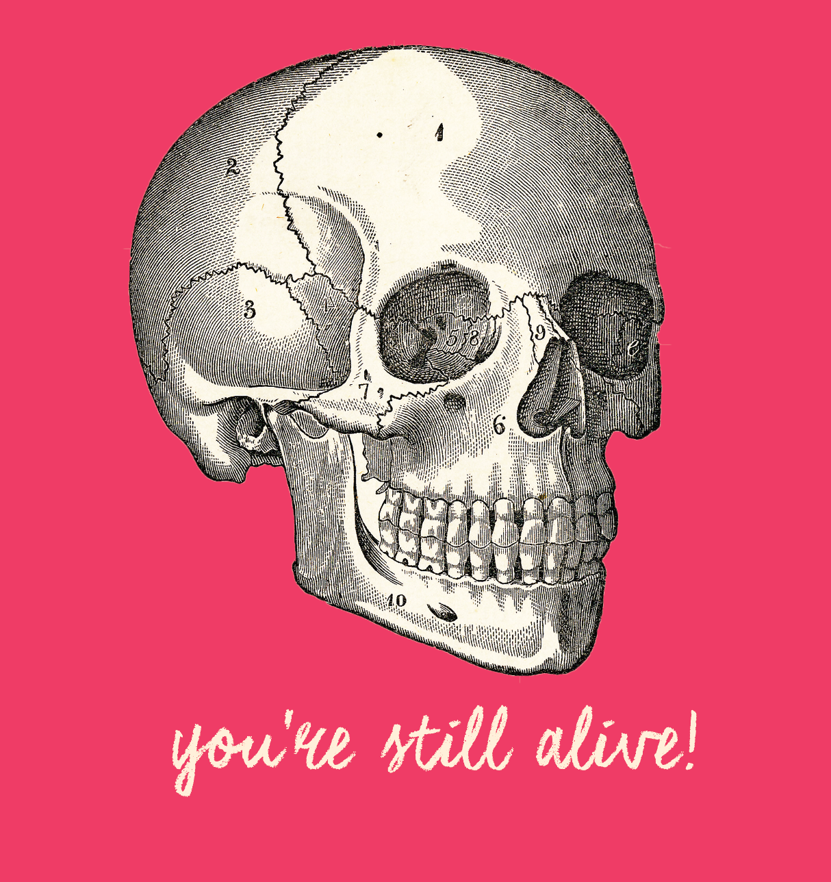 You're Still Alive Birthday Card