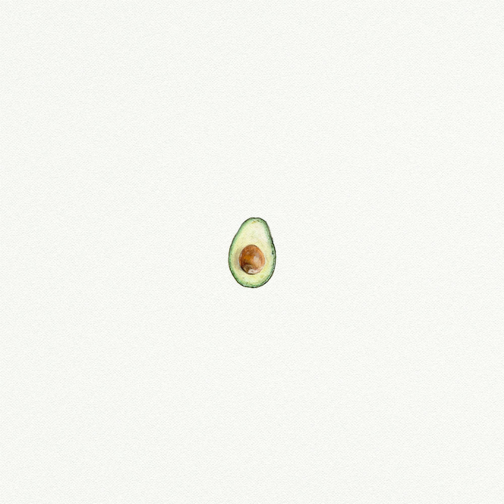 Avocado Miniature Watercolor Print