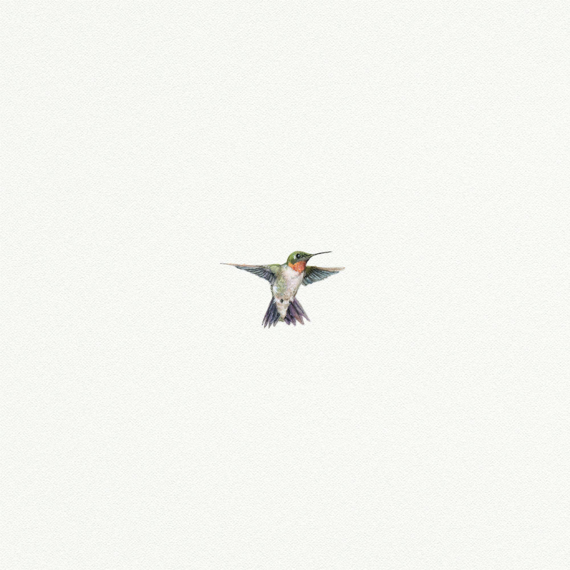 Hummingbird Miniature Watercolor Print
