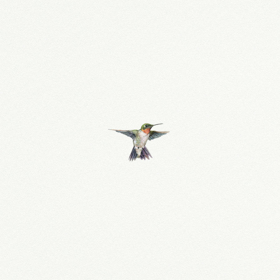 Hummingbird Miniature Watercolor Print