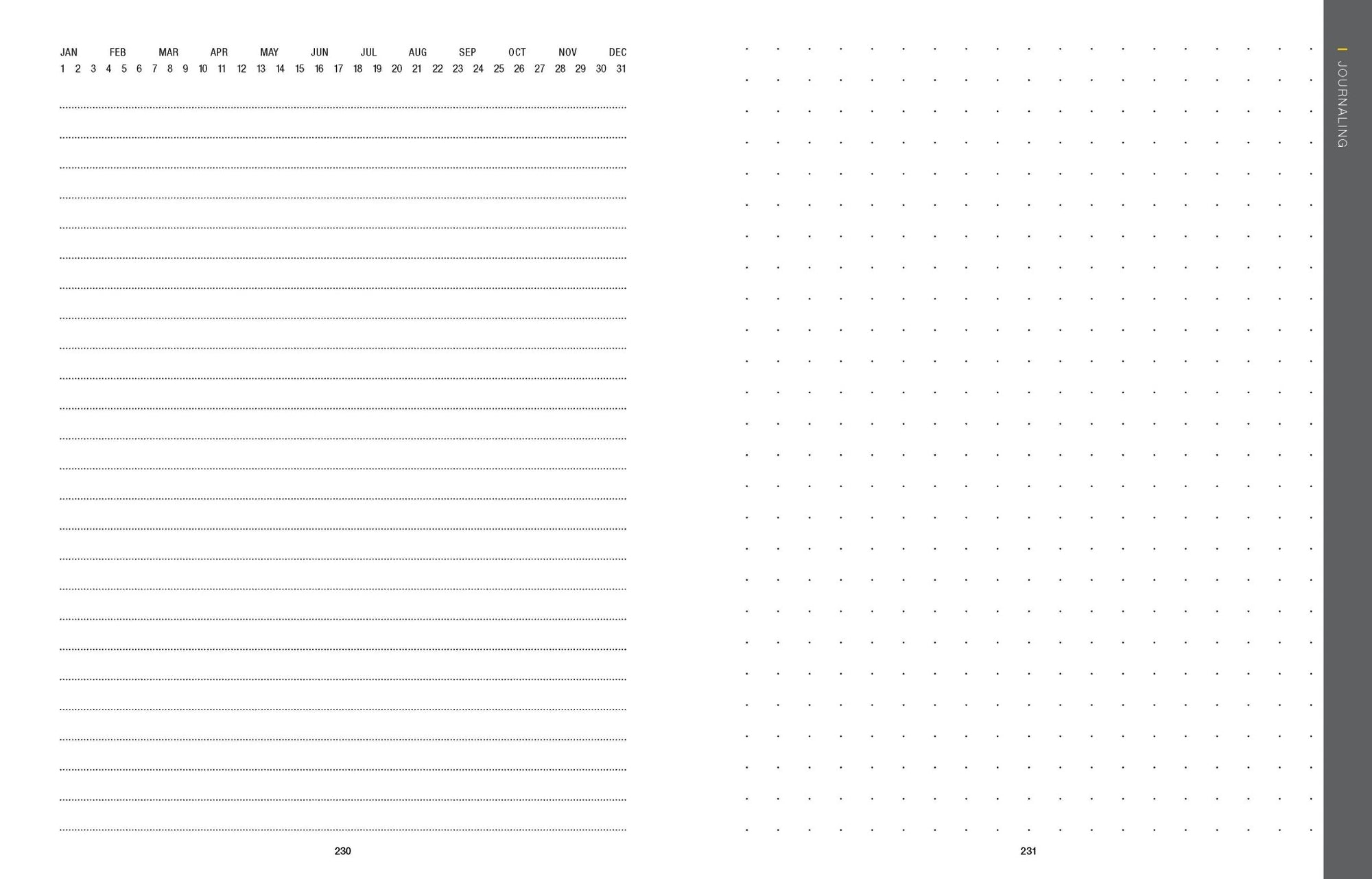 50 States 5000 Ideas Journal - Box Turtle