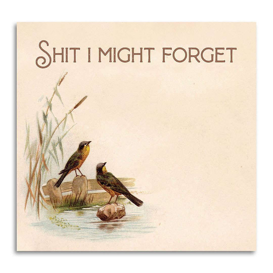 Shit I Might Forget Funny Sticky Note Pad