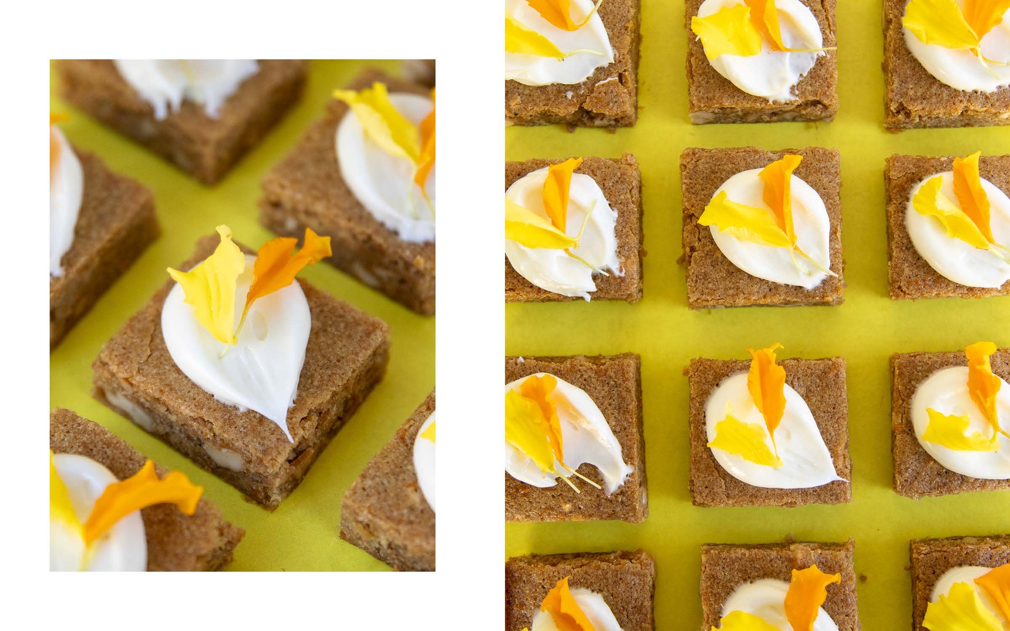 Desi Bakes