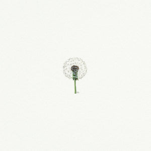 Dandelion Miniature Watercolor Print