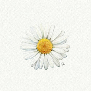 Daisy Miniature Watercolor Print