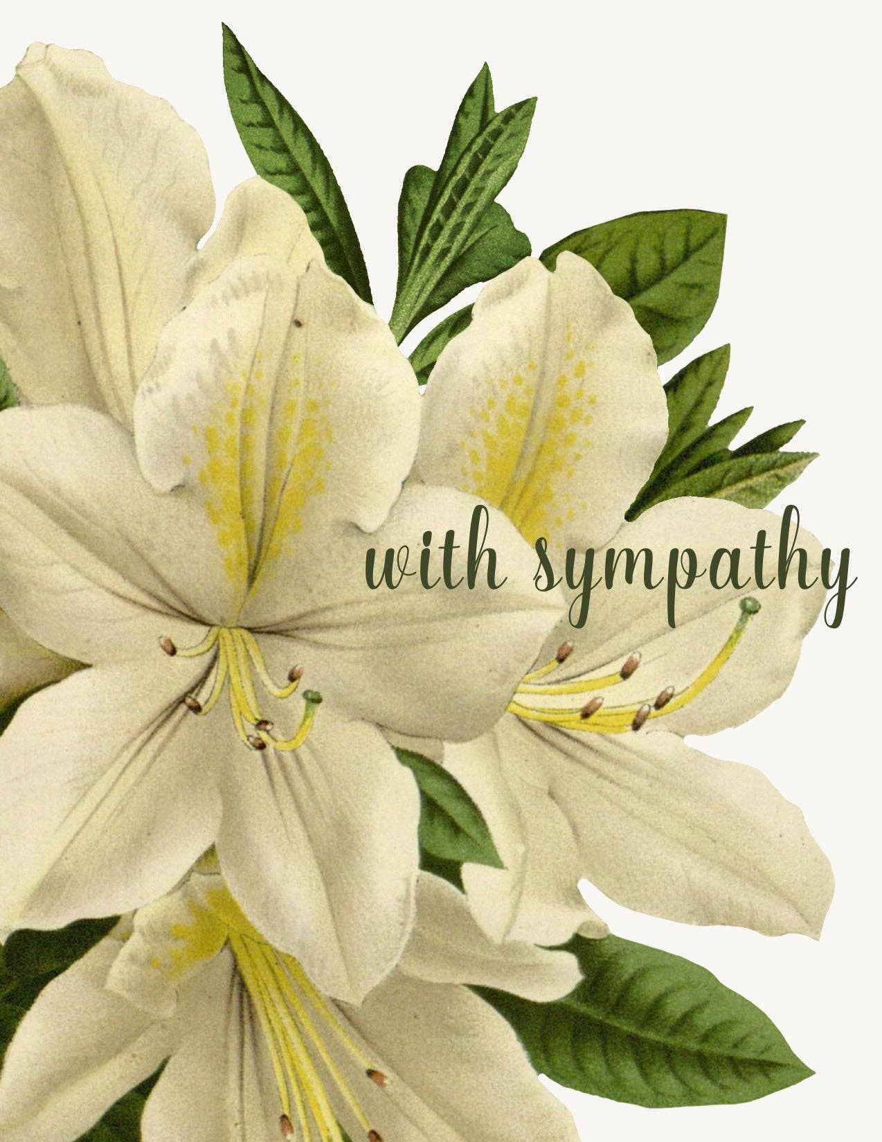 Floral With Sympathy Card