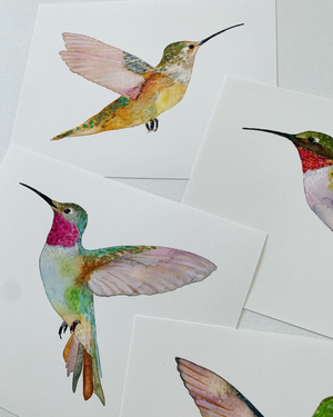 Rofous Hummingbird ~ Art Print