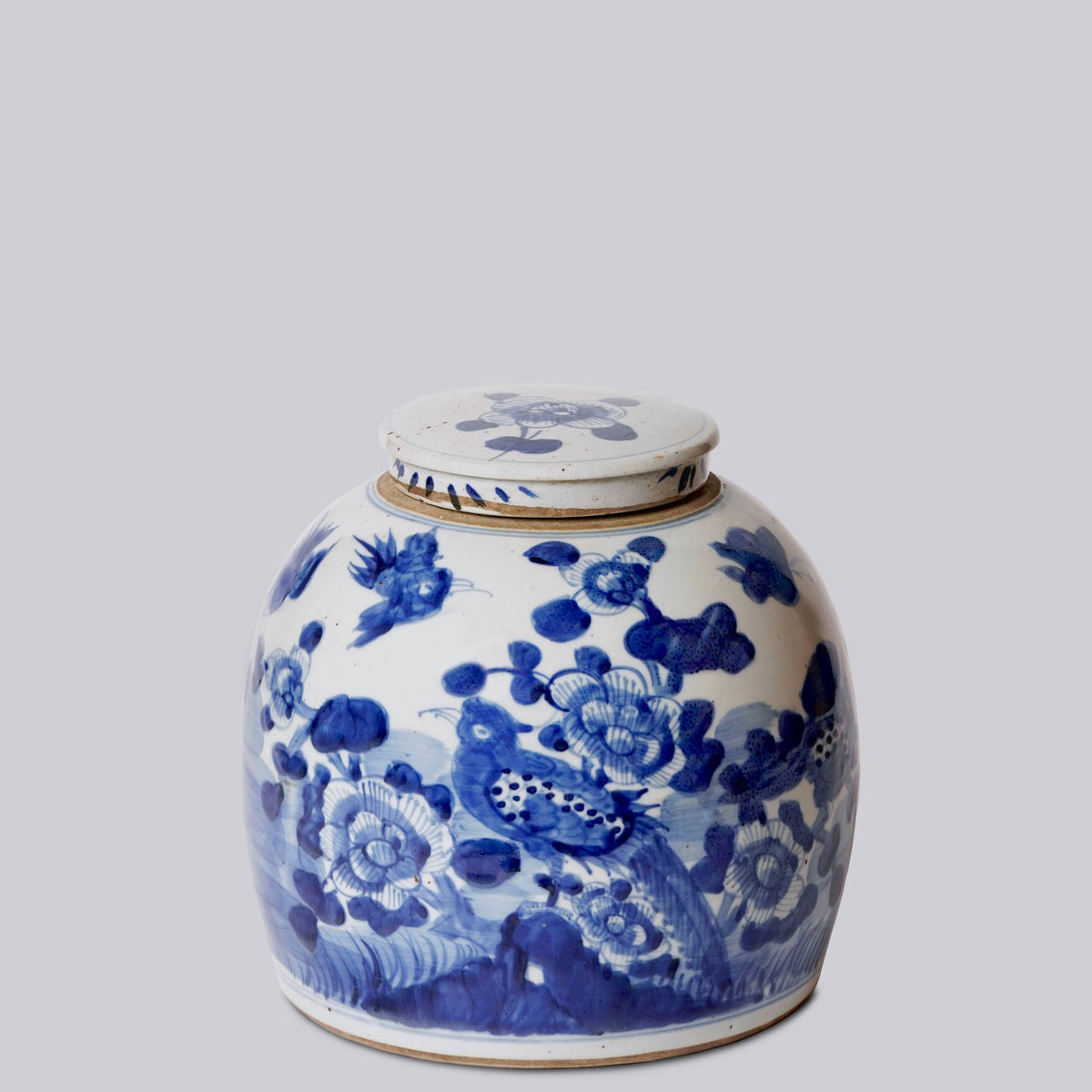 Blue &amp; White Porcelain Bird &amp; Flower Storage Jar