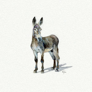 Donkey Miniature Watercolor Print