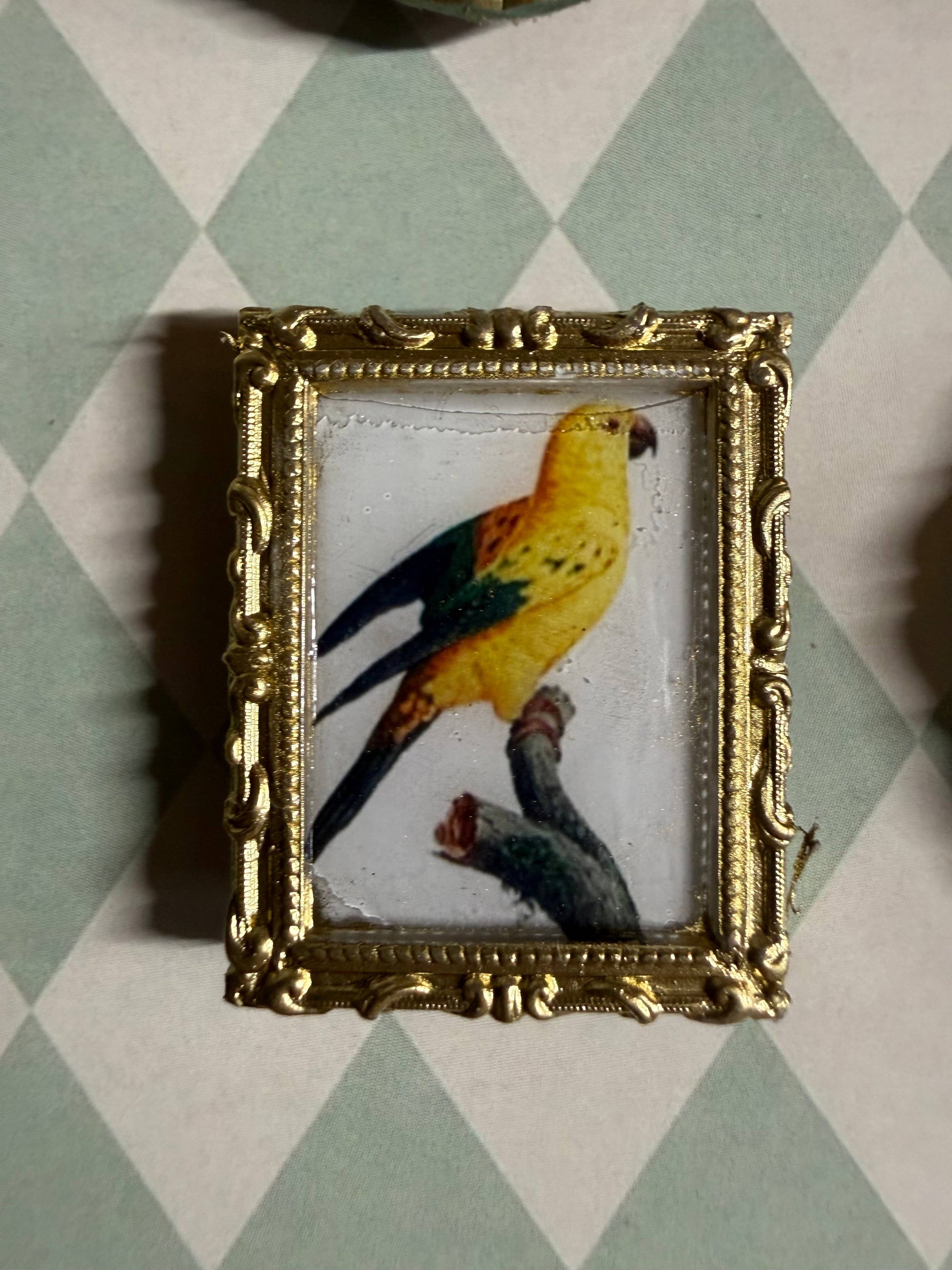 Parrot Magnets