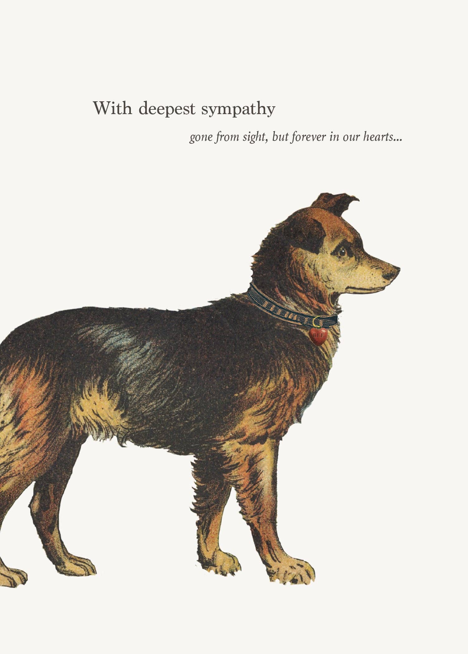 With Deepest Sympathy Dog Card