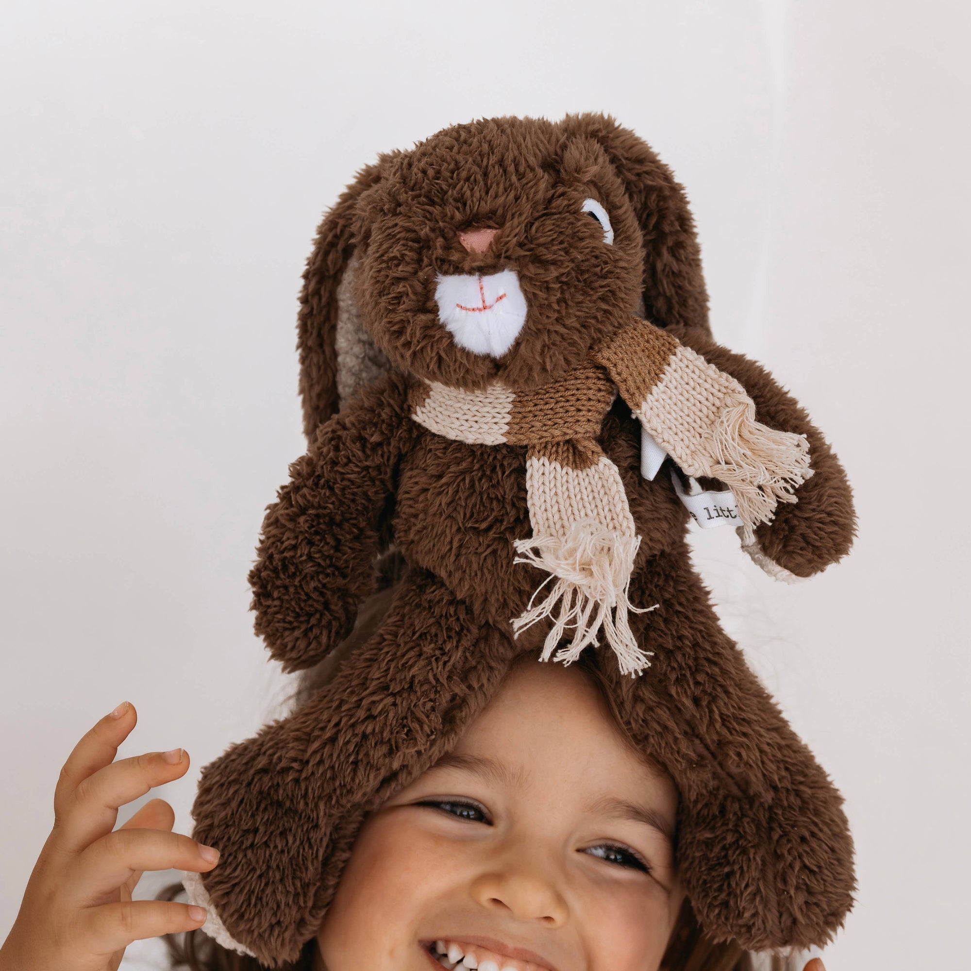 Medium Frankie Rabbit