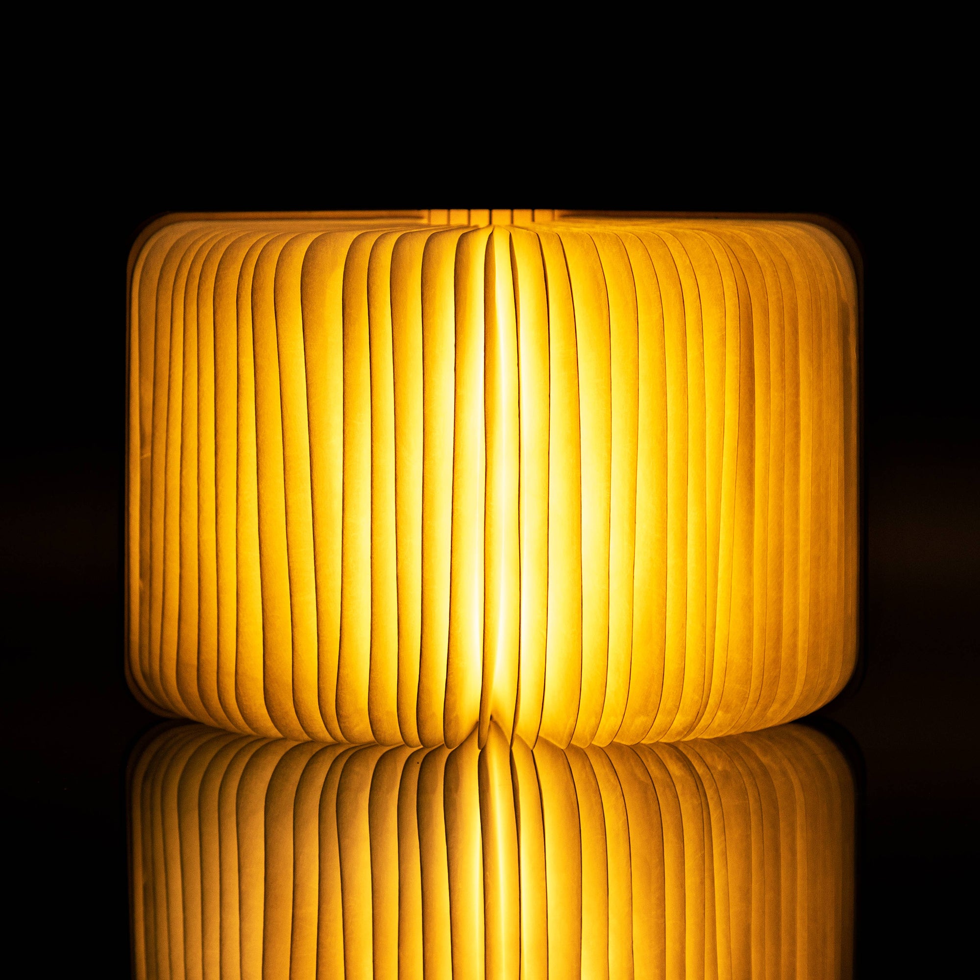 Accordion Book Lamp