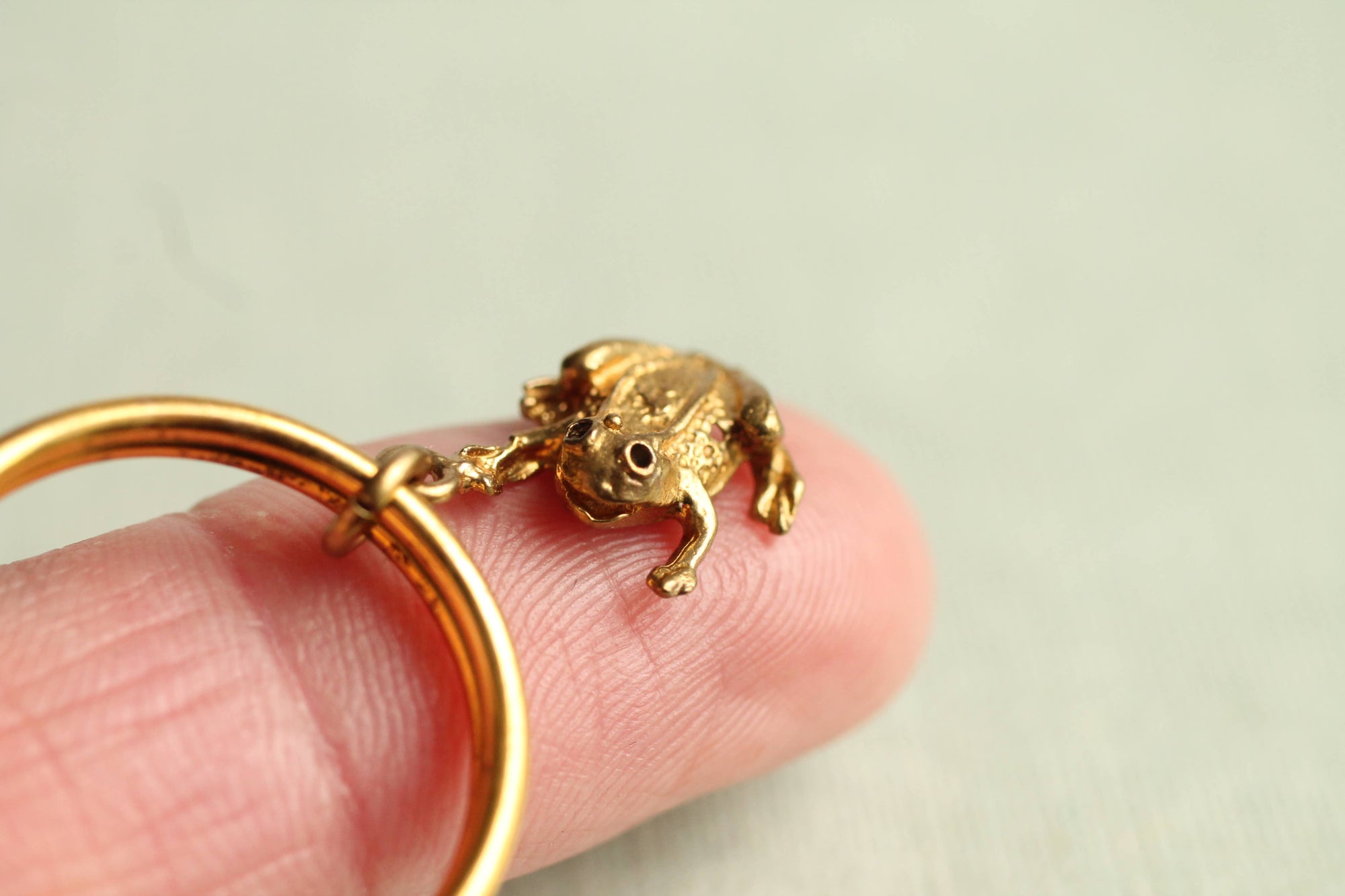 Tiny Frog Keyring