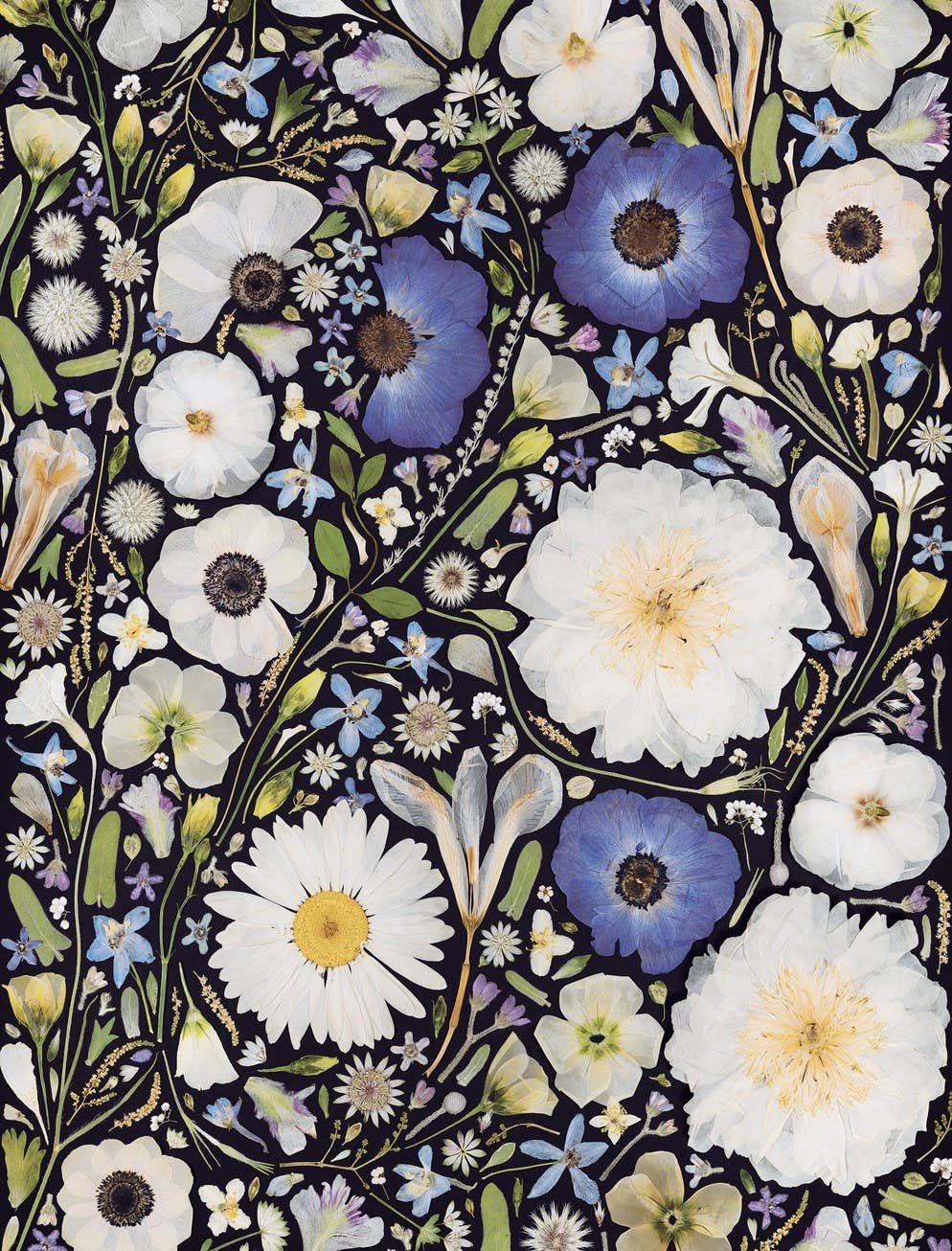 Beautiful Blooms Wrapping Paper Book