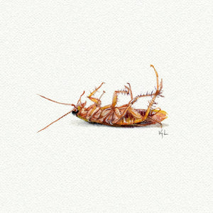 Cockroach Miniature Watercolor Print
