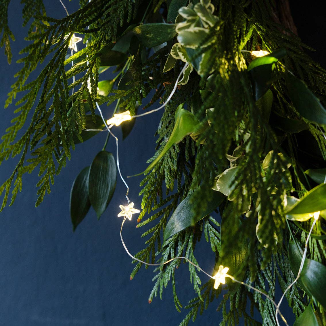 Gilded Star String Lights