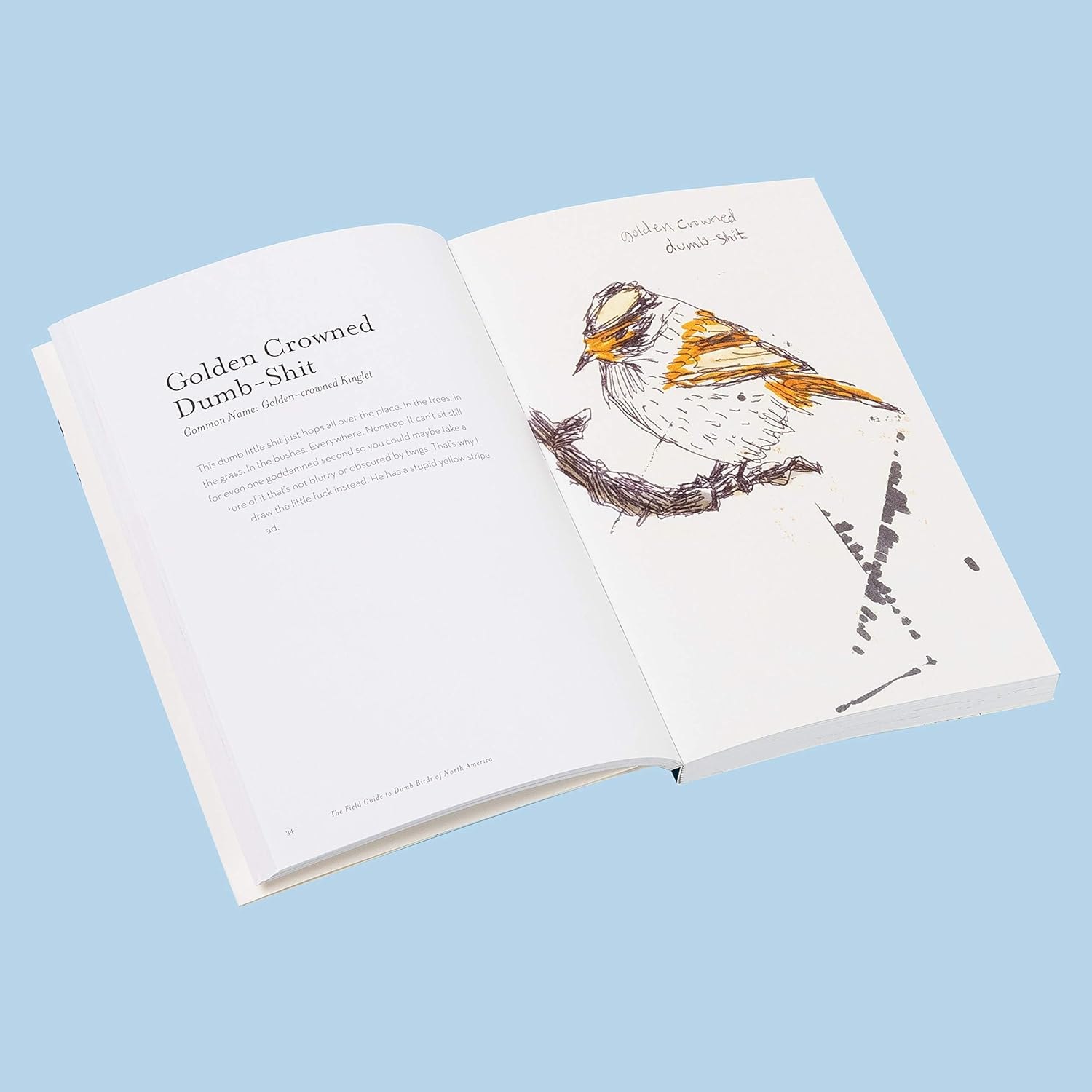 The Field Guide to Dumb Birds of North America Book