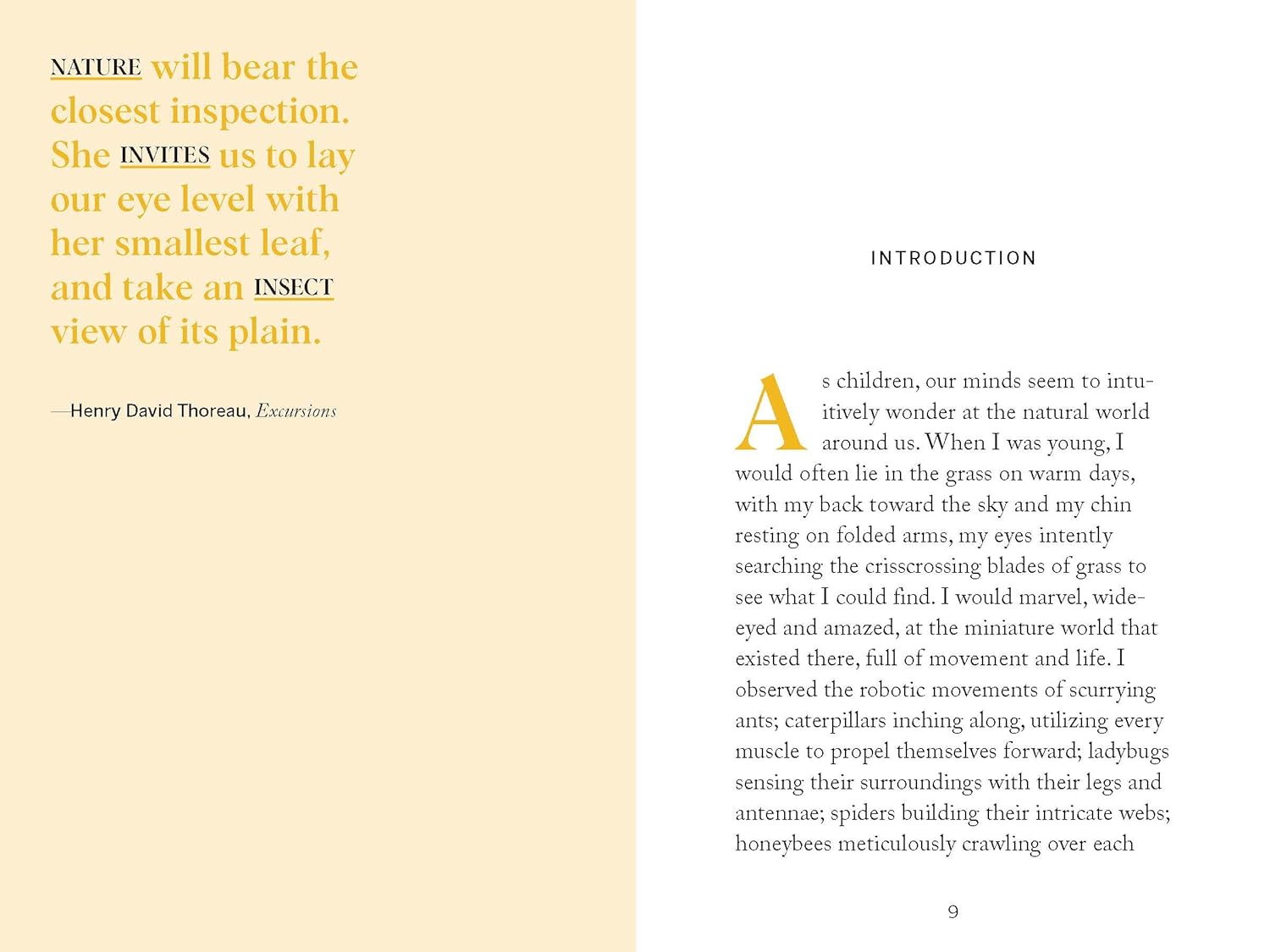 Beekeeping: Explore the Marvelous World of Honeybees