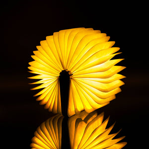 Accordion Book Lamp