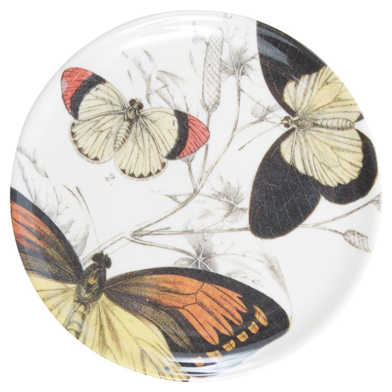 Specimen Coaster