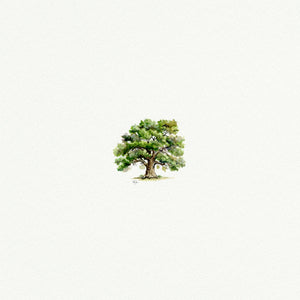 Oak Tree Miniature Watercolor Print