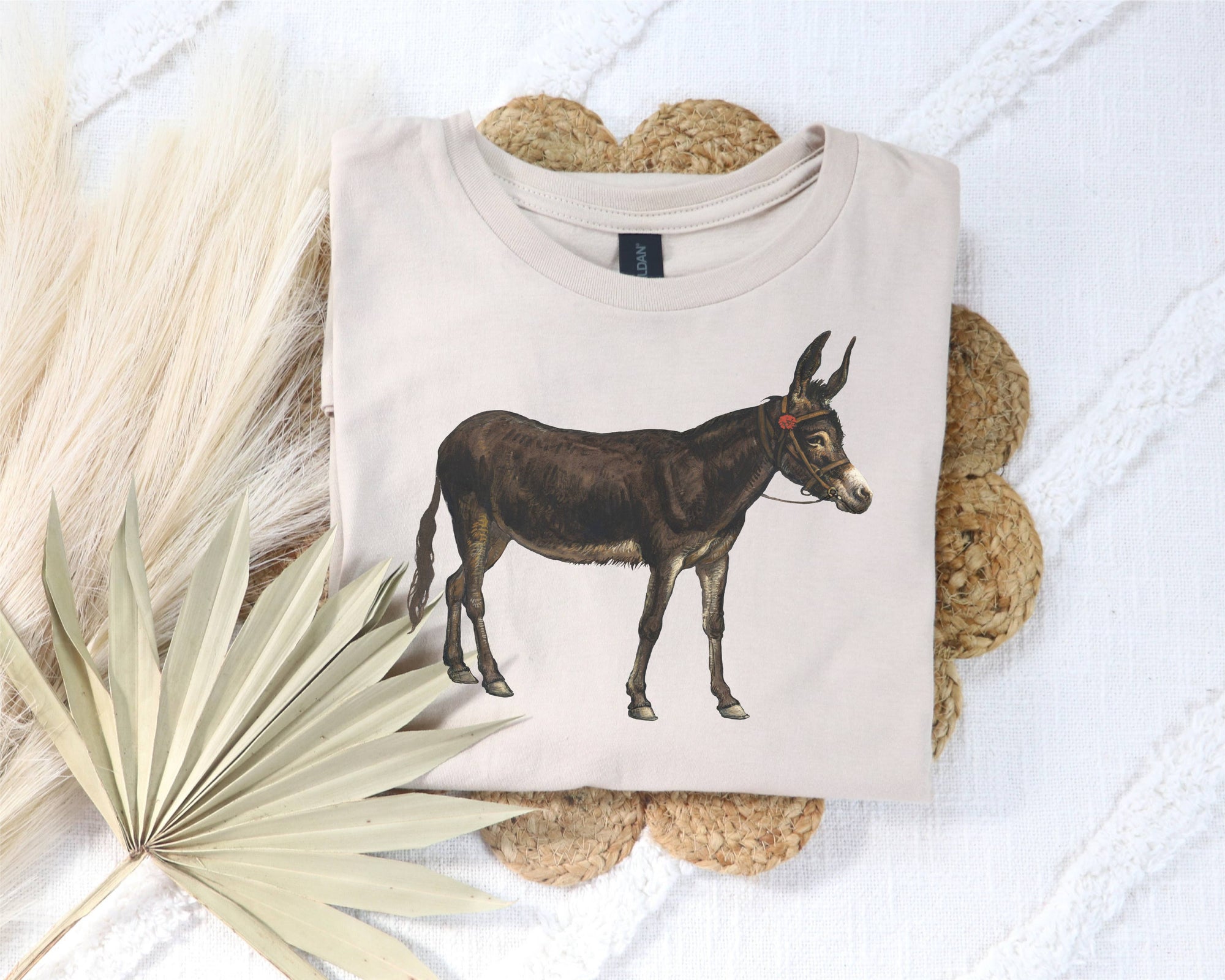 Vintage Donkey Tee- Natural
