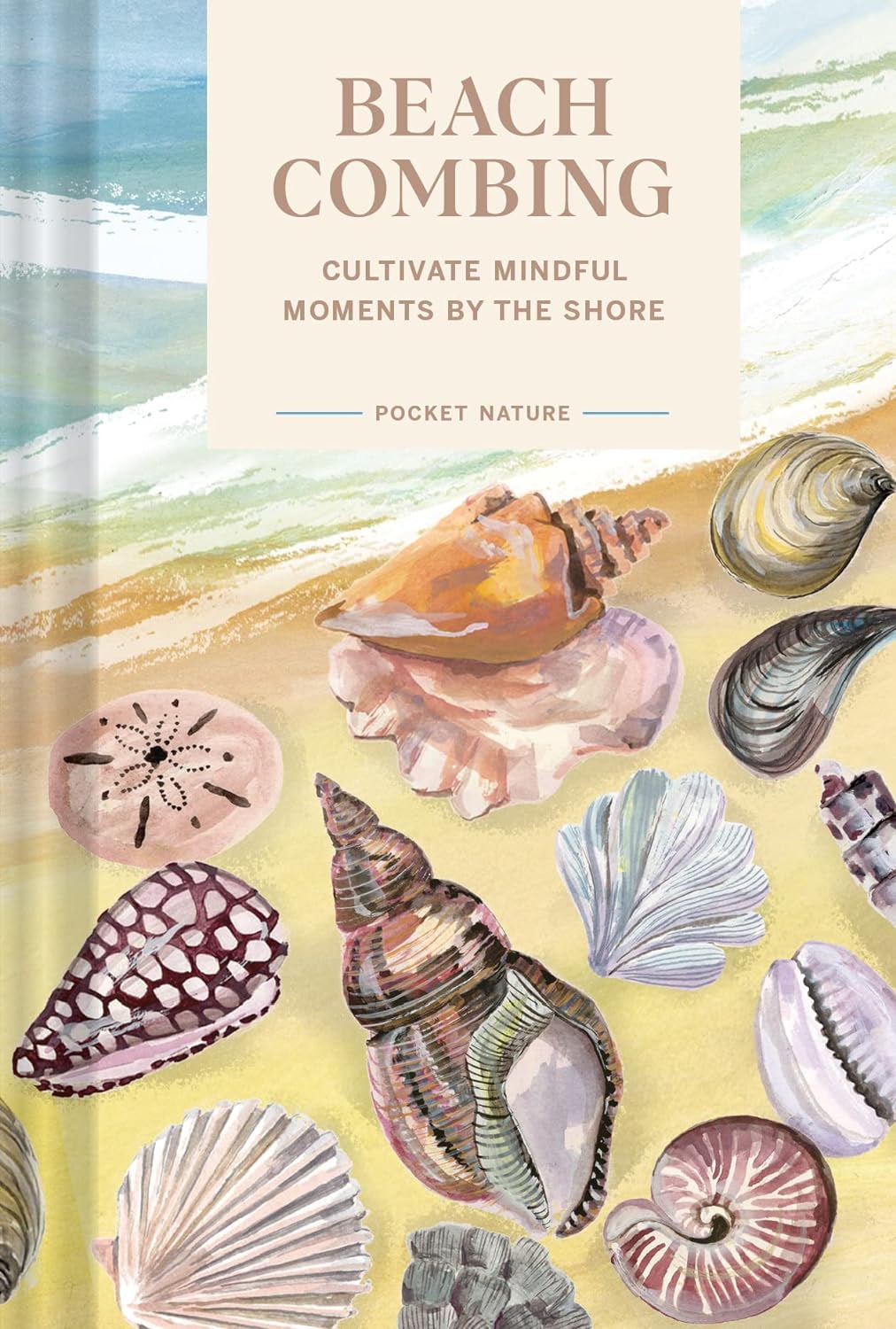 Beachcombing: Cultivate Mindful Moments by the Shore