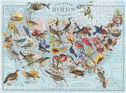 State Birds Puzzle