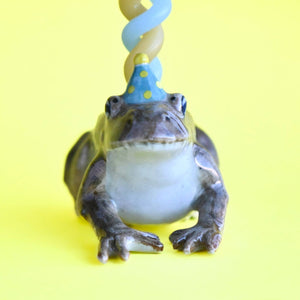 Toad Cake Topper