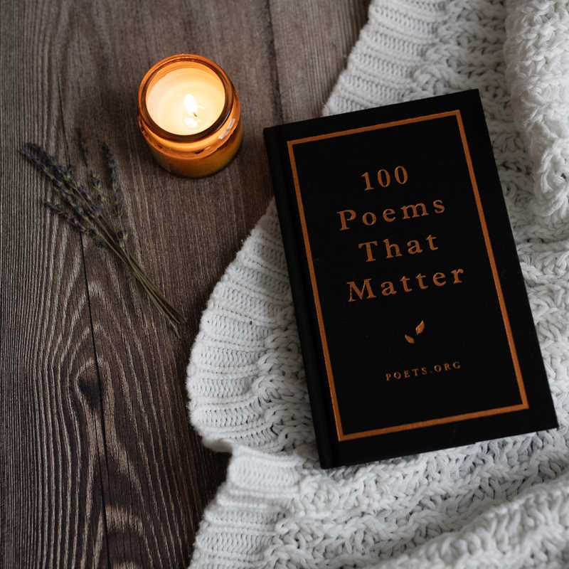 100 Poems That Matter