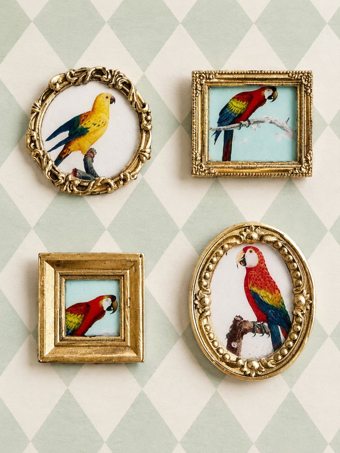 Parrot Magnets