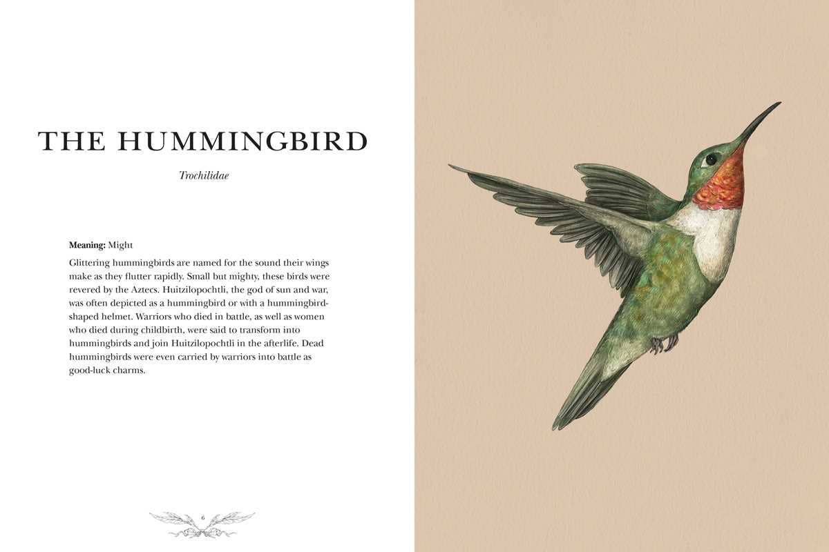 Ornithography