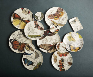 Specimen Coaster