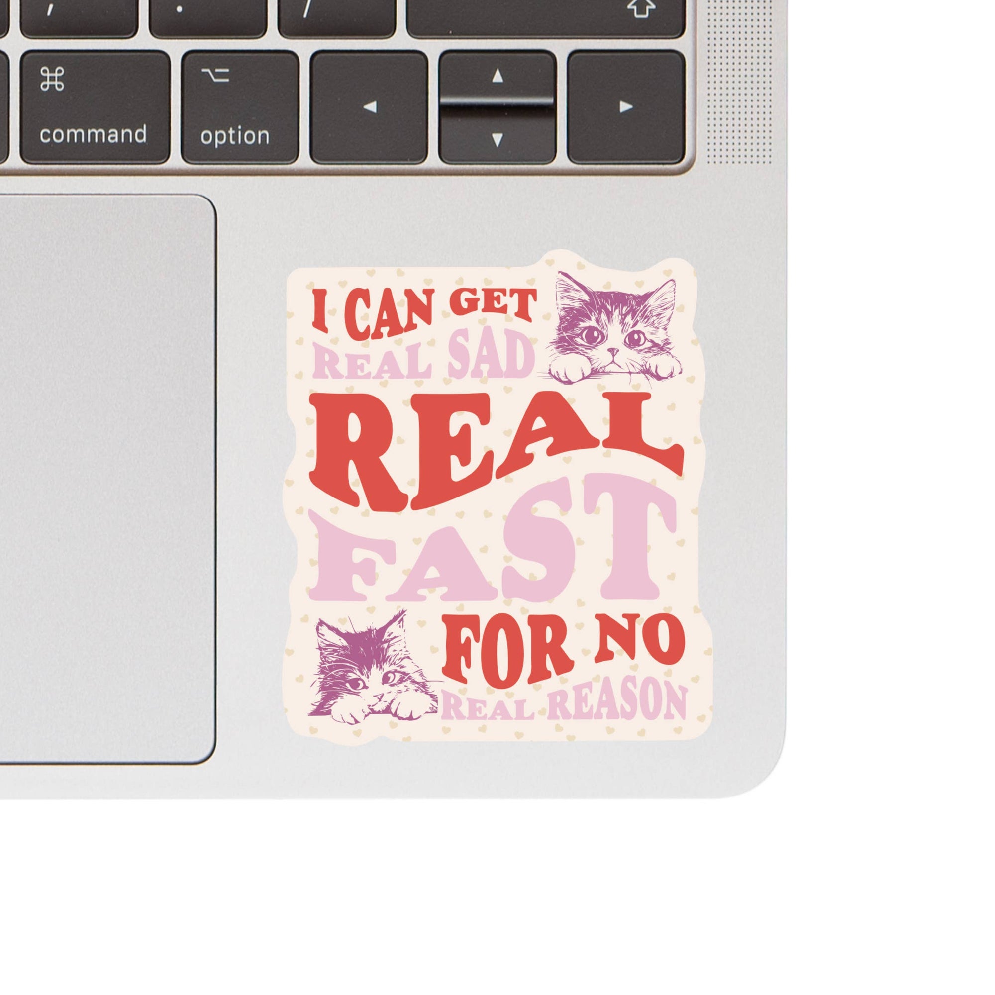 Real Sad Real Fast Kitty Cats Vinyl Sticker
