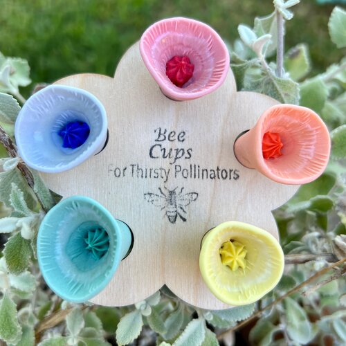 Bee Vision 5 PK