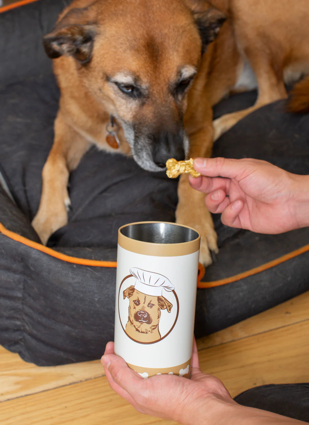 Make Your Own Dog Treats Kit