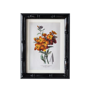 Castleford Matted Frame - Assorted Sizes