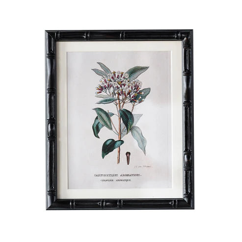 Castleford Matted Frame - Assorted Sizes