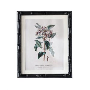 Castleford Matted Frame - Assorted Sizes