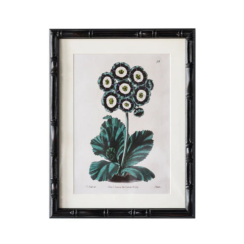 Castleford Matted Frame - Assorted Sizes