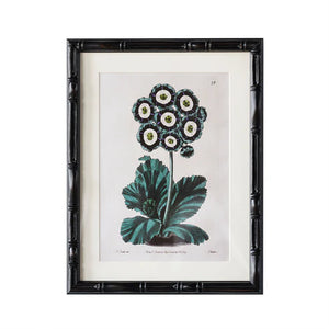 Castleford Matted Frame - Assorted Sizes