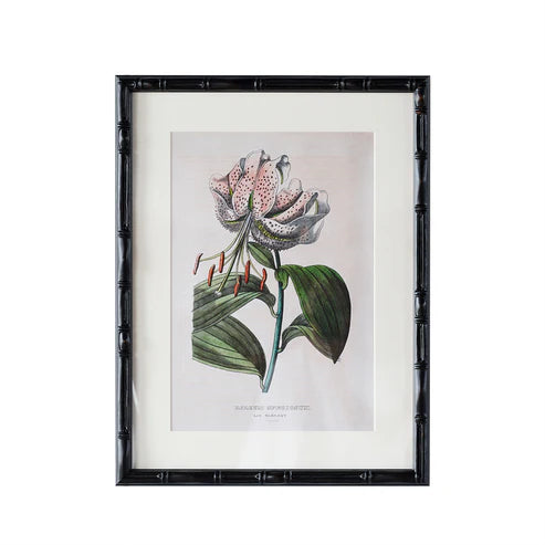 Castleford Matted Frame - Assorted Sizes